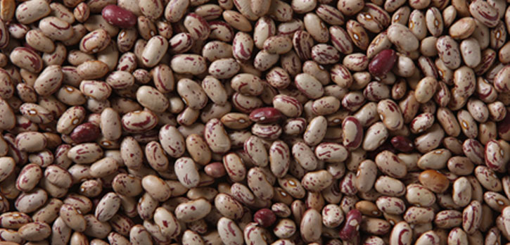 Cranberry beans
