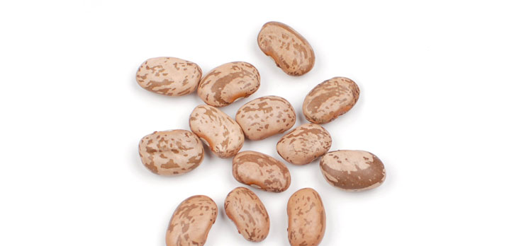 Pinto beans