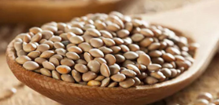 Eston Small Green Lentils